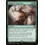 Magic: The Gathering Rishkar's Expertise (123) Lightly Played