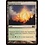 Magic: The Gathering Sunpetal Grove (229) Lightly Played Foil