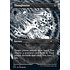 Magic: The Gathering Thoughtseize (Borderless) (1117) Near Mint