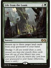 Magic: The Gathering Life from the Loam (172) Lightly Played