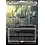 Magic: The Gathering Minas Tirith (Borderless) (049) Near Mint Foil
