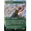 Magic: The Gathering Nut Collector (Borderless) (440) Lightly Played