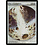 Magic: The Gathering Day of Judgment (001) Lightly Played Foil