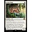 Magic: The Gathering Ocelot Pride (038) Near Mint