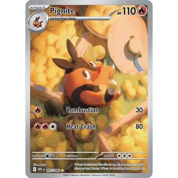 Pokemon Pignite (097) Lightly Played Holofoil