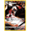 Pokemon Thievul (GG17) Lightly Played Holofoil