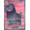 Pokemon Oinkologne ex (234) Lightly Played Holofoil