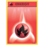 Pokemon Fire Energy (092) Lightly Played Reverse Holofoil