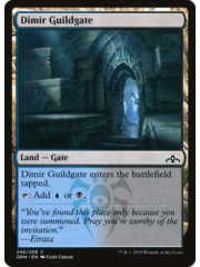 Magic: The Gathering Dimir Guildgate (246) (246) Lightly Played