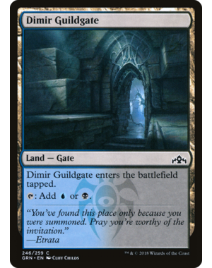 Magic: The Gathering Dimir Guildgate (246) (246) Lightly Played