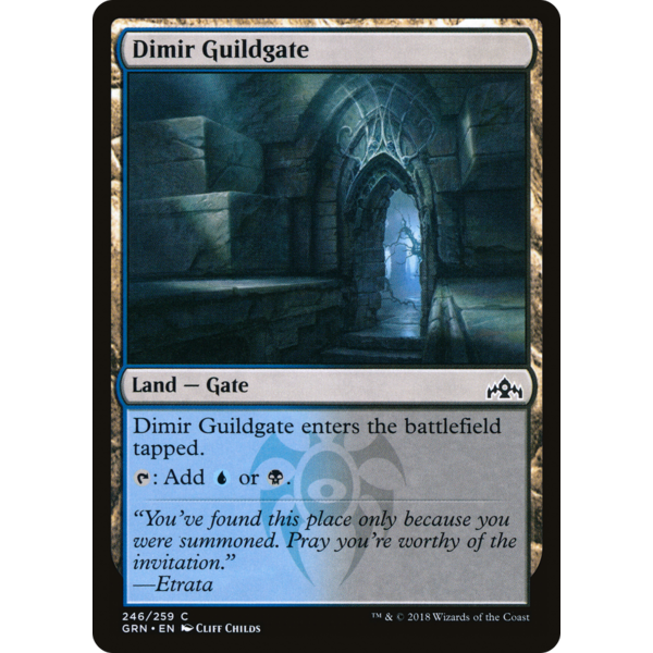 Magic: The Gathering Dimir Guildgate (246) (246) Lightly Played