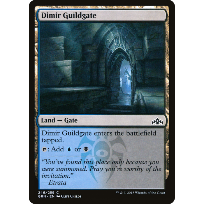 Magic: The Gathering Dimir Guildgate (246) (246) Lightly Played