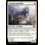 Magic: The Gathering Armored Armadillo (3) Lightly Played