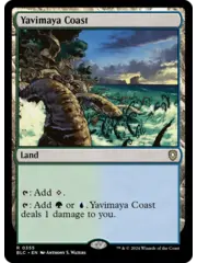 Magic: The Gathering Yavimaya Coast (355) Lightly Played