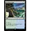 Magic: The Gathering Yavimaya Coast (355) Lightly Played