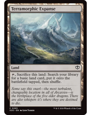 Magic: The Gathering Terramorphic Expanse (265) Lightly Played