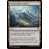 Magic: The Gathering Terramorphic Expanse (265) Lightly Played