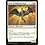 Magic: The Gathering Aven of Enduring Hope (5) Near Mint
