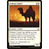 Magic: The Gathering Solitary Camel (23) Near Mint