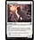 Magic: The Gathering Charmed Stray (8) Near Mint