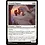 Magic: The Gathering Trusted Pegasus (36) Near Mint
