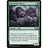 Magic: The Gathering Thornhide Wolves (204) Lightly Played