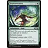Magic: The Gathering Feral Invocation (170) Lightly Played