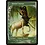 Magic: The Gathering Nessian Courser (148) Lightly Played