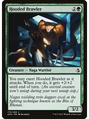 Magic: The Gathering Hooded Brawler (173) Lightly Played