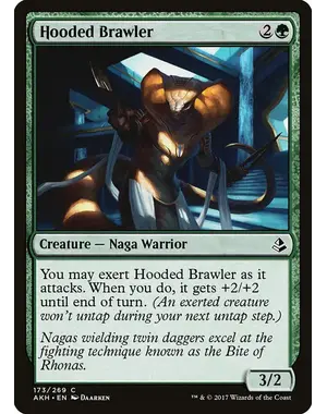 Magic: The Gathering Hooded Brawler (173) Lightly Played