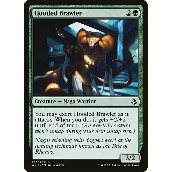 Magic: The Gathering Hooded Brawler (173) Lightly Played