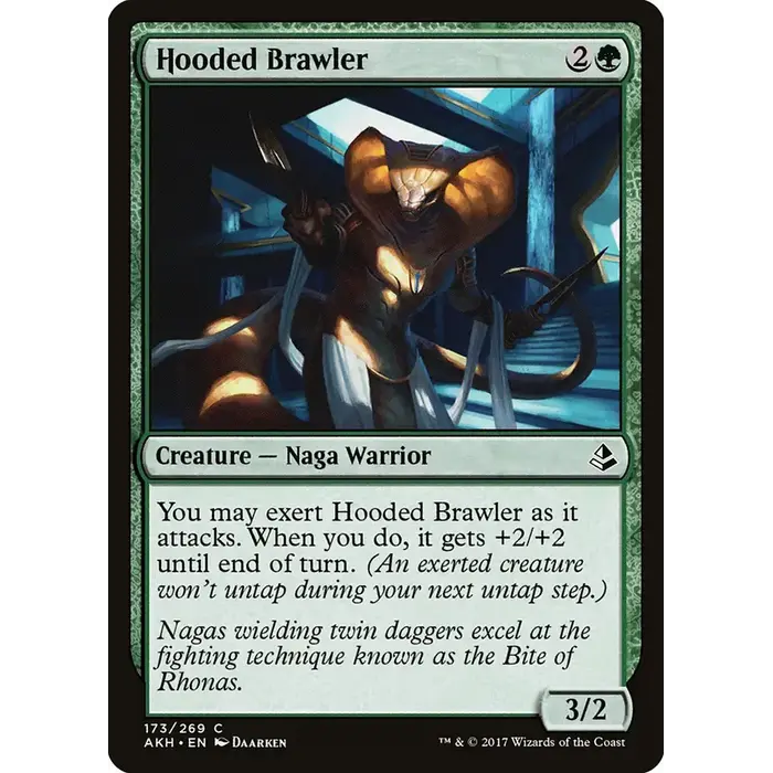 Magic: The Gathering Hooded Brawler (173) Lightly Played