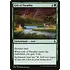 Magic: The Gathering Gift of Paradise (167) Lightly Played