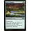 Magic: The Gathering Gift of Paradise (173) Lightly Played
