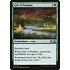 Magic: The Gathering Gift of Paradise (173) Lightly Played
