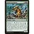 Magic: The Gathering Durkwood Baloth (160) Lightly Played