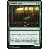 Magic: The Gathering Phantom Tiger (181) Lightly Played