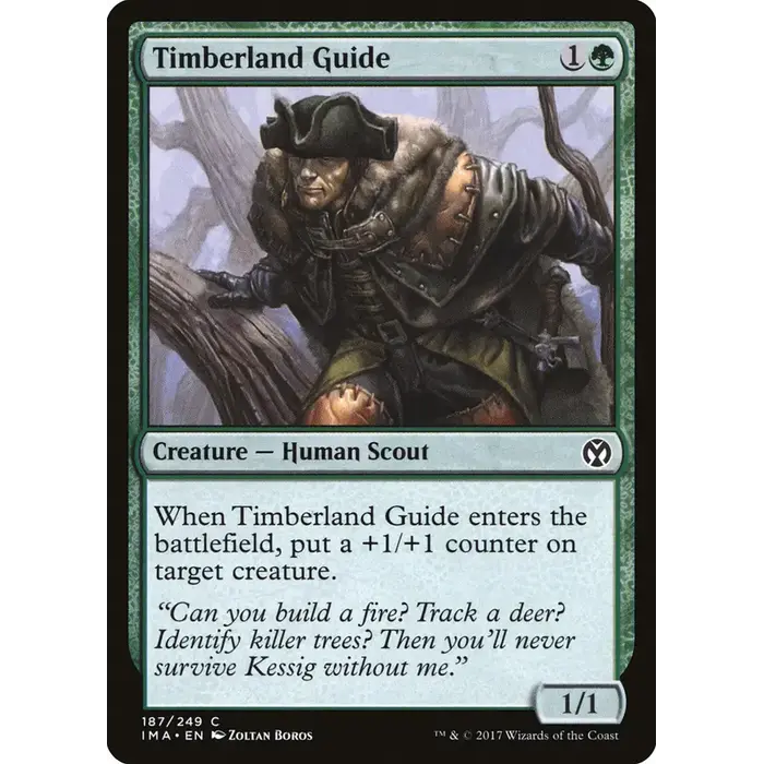 Magic: The Gathering Timberland Guide (187) Lightly Played