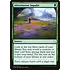 Magic: The Gathering Adventurous Impulse (153) Lightly Played