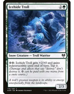 Magic: The Gathering Icehide Troll (176) Lightly Played