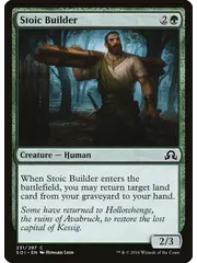 Magic: The Gathering Stoic Builder (231) Lightly Played