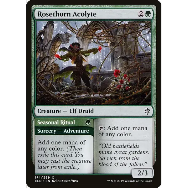 Magic: The Gathering Rosethorn Acolyte (174) Lightly Played