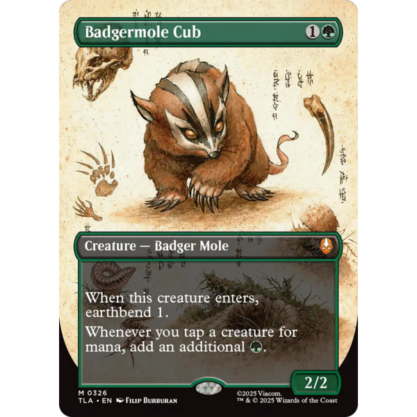 Magic: The Gathering Badgermole Cub (Borderless) (326) Near Mint Foil