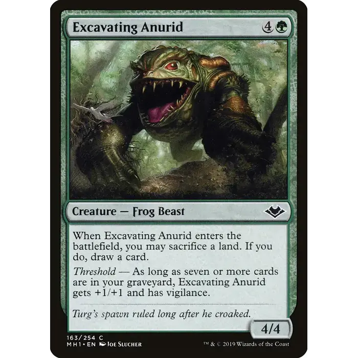 Magic: The Gathering Excavating Anurid (163) Near Mint