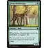 Magic: The Gathering Sylvan Brushstrider (144) Near Mint