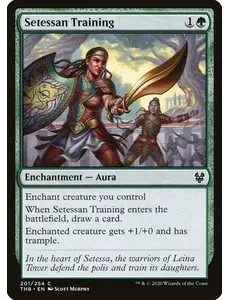 Magic: The Gathering Setessan Training (201) Near Mint