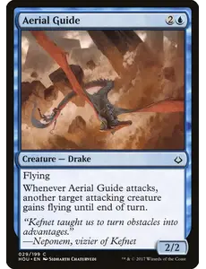 Magic: The Gathering Aerial Guide (29) Near Mint