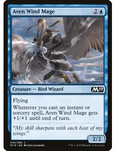 Magic: The Gathering Aven Wind Mage (045) Near Mint