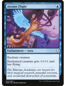 Magic: The Gathering Arcane Flight (043) Near Mint