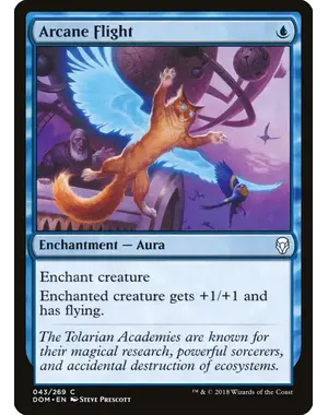 Magic: The Gathering Arcane Flight (043) Near Mint